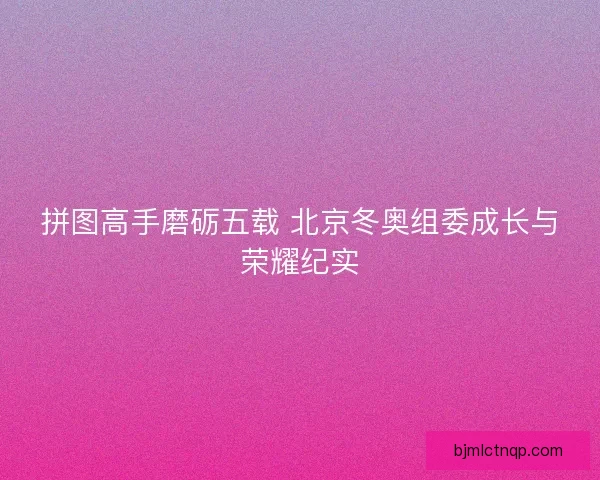 拼图高手磨砺五载 北京冬奥组委成长与荣耀纪实