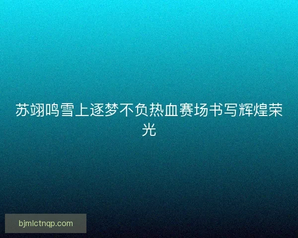 苏翊鸣雪上逐梦不负热血赛场书写辉煌荣光