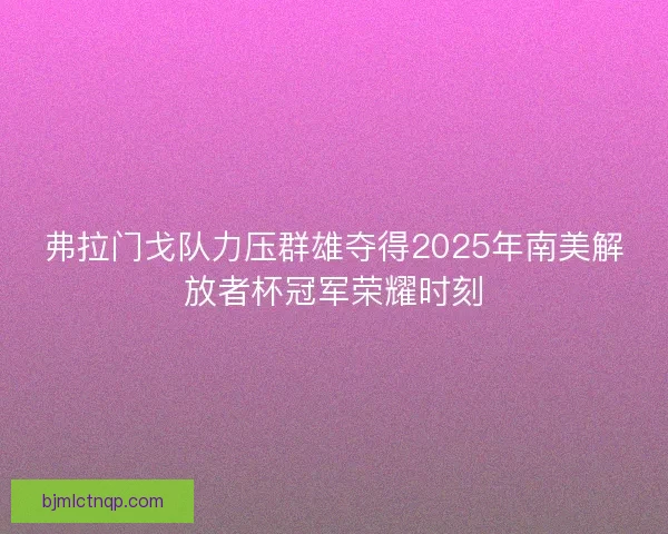 弗拉门戈队力压群雄夺得2025年南美解放者杯冠军荣耀时刻