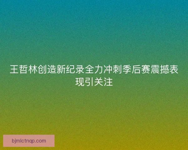 王哲林创造新纪录全力冲刺季后赛震撼表现引关注